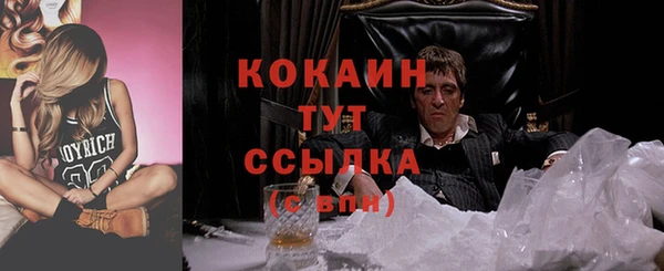 МДПВ Бежецк