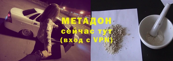 дживик Туринск