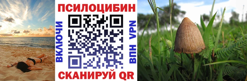 Галлюциногенные грибы Psilocybine cubensis  хочу наркоту  Дудинка 